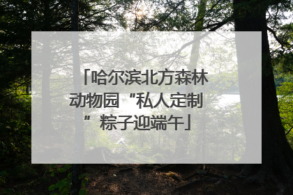 哈尔滨北方森林动物园“私人定制”粽子迎端午