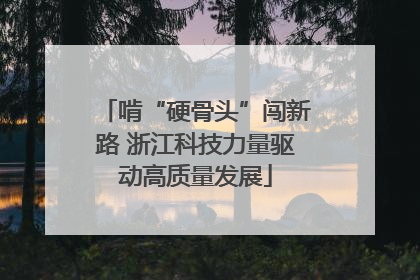 啃“硬骨头”闯新路 浙江科技力量驱动高质量发展