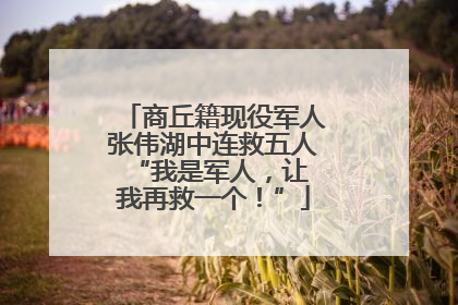 商丘籍现役军人张伟湖中连救五人 “我是军人，让我再救一个！”