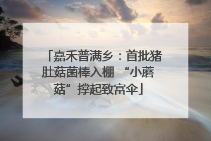 嘉禾普满乡：首批猪肚菇菌棒入棚 “小蘑菇”撑起致富伞
