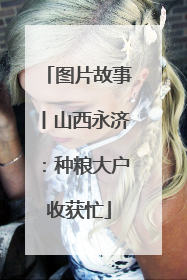 图片故事丨山西永济：种粮大户收获忙