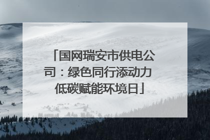国网瑞安市供电公司：绿色同行添动力 低碳赋能环境日