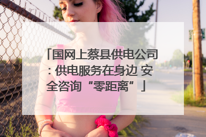 国网上蔡县供电公司：供电服务在身边 安全咨询“零距离”