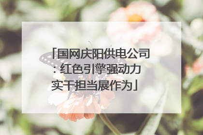 国网庆阳供电公司：红色引擎强动力 实干担当展作为