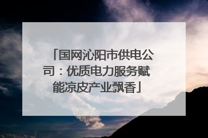 国网沁阳市供电公司：优质电力服务赋能凉皮产业飘香