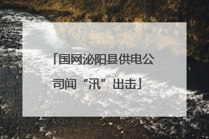 国网泌阳县供电公司闻“汛”出击