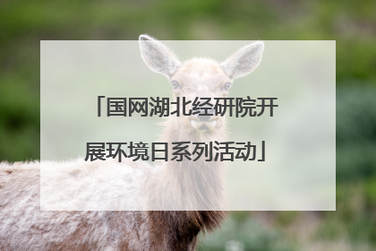 国网湖北经研院开展环境日系列活动