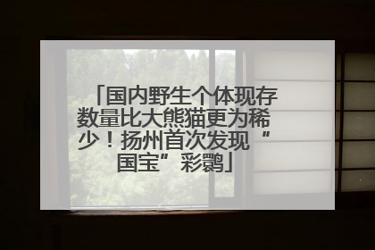 国内野生个体现存数量比大熊猫更为稀少！扬州首次发现“国宝”彩鹮