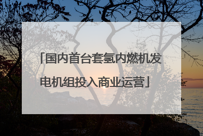 国内首台套氢内燃机发电机组投入商业运营