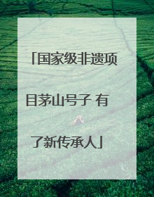 国家级非遗项目茅山号子 有了新传承人