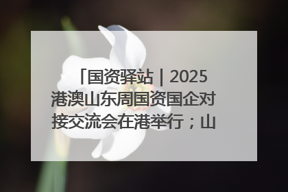 国资驿站｜2025港澳山东周国资国企对接交流会在港举行；山东黄金成功在境外发行3亿美元绿色债券