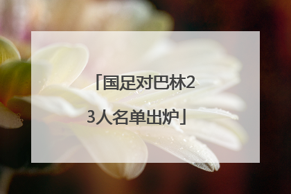 国足对巴林23人名单出炉
