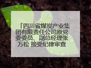 四川省煤炭产业集团有限责任公司原党委委员、副总经理张万松 接受纪律审查和监察调查