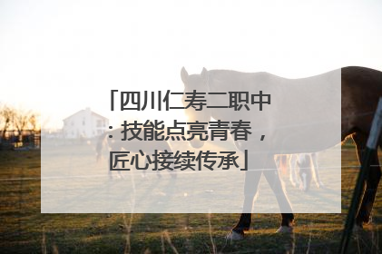 四川仁寿二职中：技能点亮青春，匠心接续传承