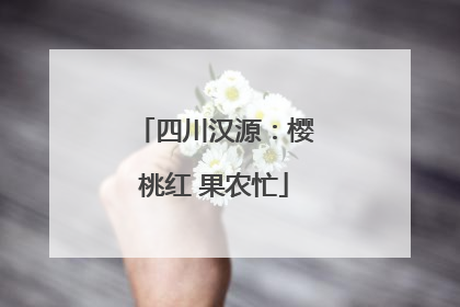 四川汉源：樱桃红 果农忙