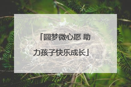 圆梦微心愿 助力孩子快乐成长