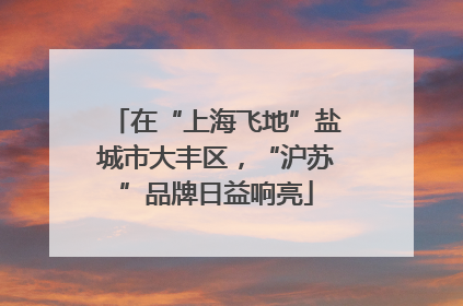 在“上海飞地”盐城市大丰区，“沪苏”品牌日益响亮