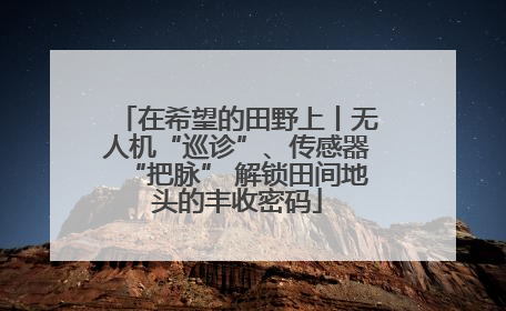 在希望的田野上丨无人机“巡诊”、传感器“把脉” 解锁田间地头的丰收密码