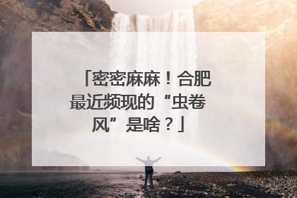 密密麻麻！合肥最近频现的“虫卷风”是啥？