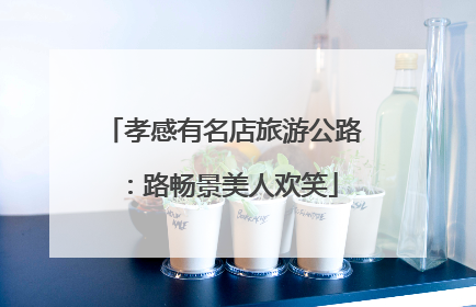 孝感有名店旅游公路：路畅景美人欢笑