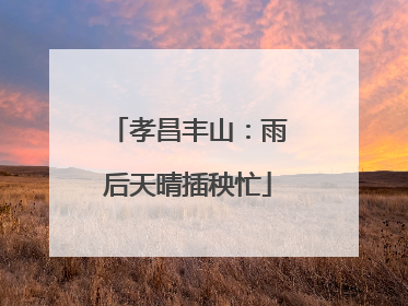 孝昌丰山：雨后天晴插秧忙