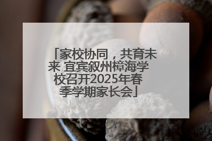 家校协同，共育未来 宜宾叙州樟海学校召开2025年春季学期家长会