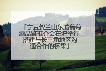 宁夏贺兰山东麓葡萄酒品鉴推介会在沪举行 搭建与长三角地区沟通合作的桥梁