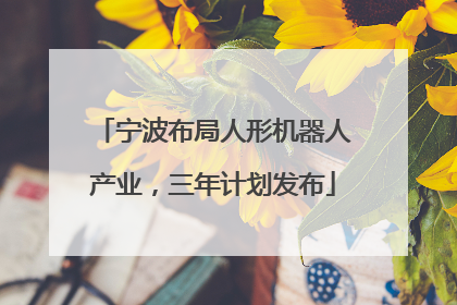 宁波布局人形机器人产业，三年计划发布