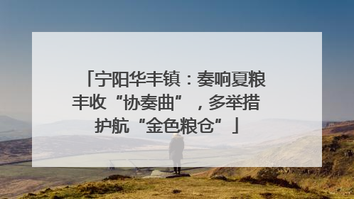 宁阳华丰镇：奏响夏粮丰收“协奏曲”，多举措护航“金色粮仓”
