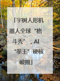 宇树人形机器人全球“格斗秀”，AI“拳王”硬核破圈