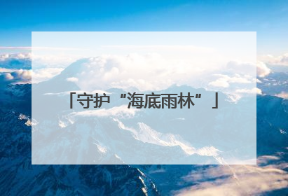 守护“海底雨林”