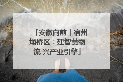 安徽向前丨宿州埇桥区：建智慧物流 兴产业引擎