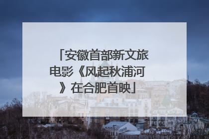 安徽首部新文旅电影《风起秋浦河》在合肥首映