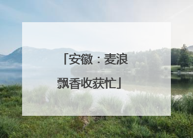 安徽：麦浪飘香收获忙
