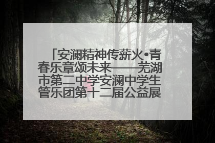 安澜精神传薪火•青春乐章颂未来——芜湖市第二中学安澜中学生管乐团第十二届公益展演圆满举行