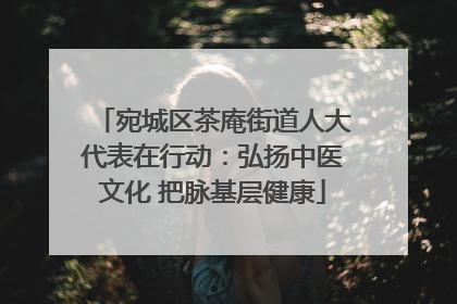 宛城区茶庵街道人大代表在行动：弘扬中医文化 把脉基层健康