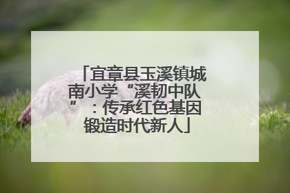 宜章县玉溪镇城南小学“溪韧中队”：传承红色基因 锻造时代新人