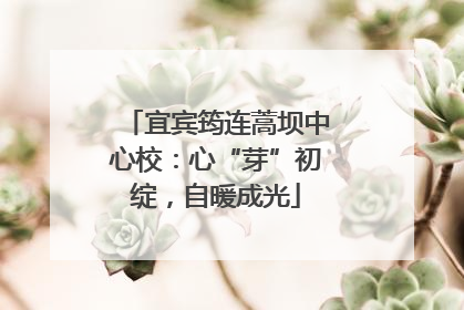宜宾筠连蒿坝中心校：心“芽”初绽，自暖成光