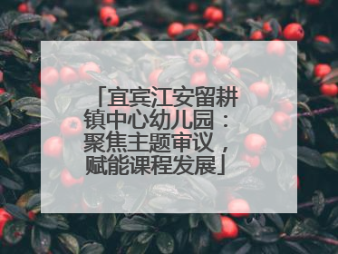 宜宾江安留耕镇中心幼儿园：聚焦主题审议，赋能课程发展