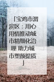 宝鸡市渭滨区：用心用情推动城市精细化治理 助力城市塑颜提质