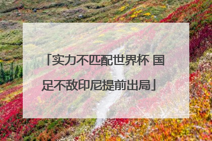 实力不匹配世界杯 国足不敌印尼提前出局