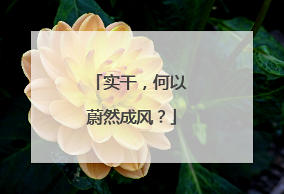 实干，何以蔚然成风？