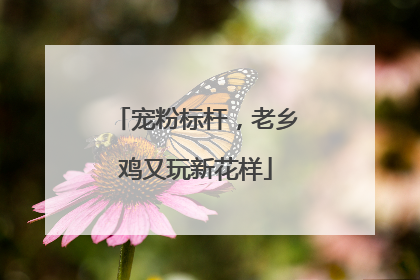 宠粉标杆，老乡鸡又玩新花样