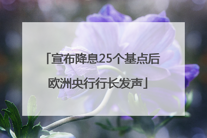 宣布降息25个基点后 欧洲央行行长发声