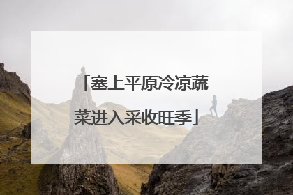 塞上平原冷凉蔬菜进入采收旺季