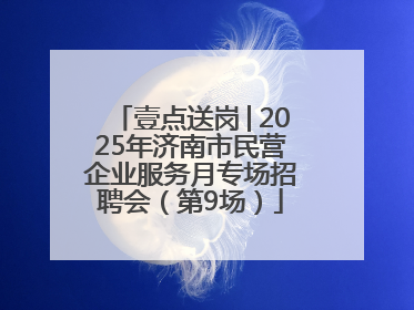 壹点送岗│2025年济南市民营企业服务月专场招聘会（第9场）