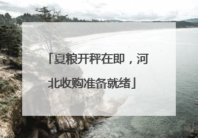 夏粮开秤在即，河北收购准备就绪