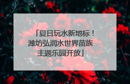 夏日玩水新地标！潍坊弘润水世界苗族主题乐园开放