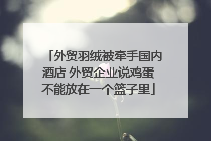 外贸羽绒被牵手国内酒店 外贸企业说鸡蛋不能放在一个篮子里