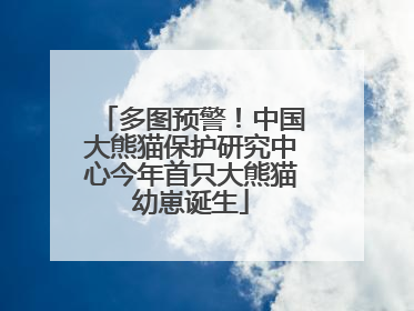 多图预警！中国大熊猫保护研究中心今年首只大熊猫幼崽诞生